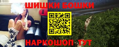 индика Усть-Джегута