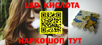 индика Усть-Джегута