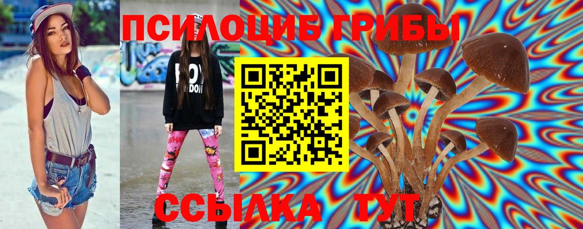 Псилоцибиновые грибы GOLDEN TEACHER Михайловка