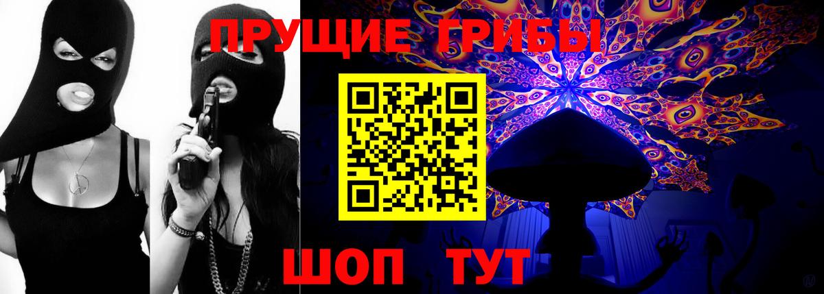 Михайловка  Галлюциногенные грибы Magic Shrooms  Вход с VPN 